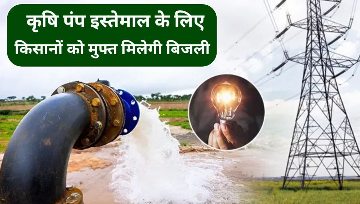 Mukhyamantri Baliraja Muft Bijli Yojana 2024