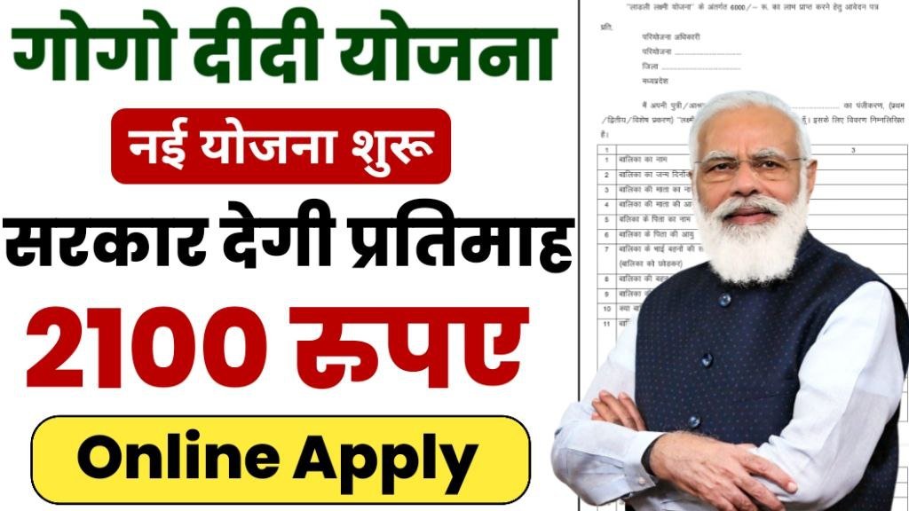 Gogo Didi Yojana Form